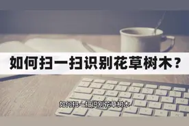 如何扫一扫识别花草树木？识别花草树木的好用方法视频封面