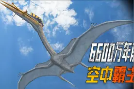 6600万年前以恐龙为食的飞行巨怪，翼展可达12米，堪比战斗机视频封面