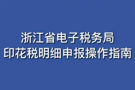 浙江省电子税务局印花税申报操作视频（浙江南湖区税务局）视频封面