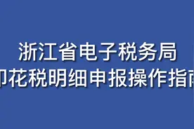 浙江省电子税务局印花税申报操作视频（浙江南湖区税务局）视频封面