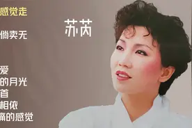 苏芮十首经典金曲视频封面