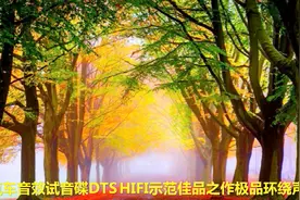 汽车音效试音碟DTS HIFI示范佳品之作极品环绕声视频封面