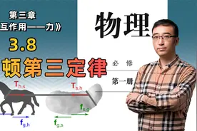【3.8 牛顿第三定律】高中物理 必修一 第三章 相互作用——力视频封面