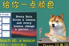 【Doge每日一词-狗狗讲英语】lesson 高考四六级考研英语词汇视频封面
