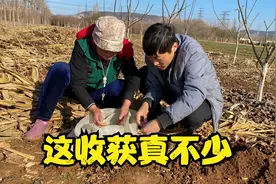 4个老鼠洞能挖出来多少粮食？祖孙俩美坏了，这收获真不少视频封面
