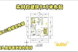 农村自建房9x9米户型，平面和三维模型户型，提前看到家的模样视频封面