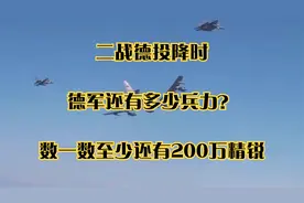 二战德投降时，德军还有多少兵力？数一数至少还有200万精锐视频封面