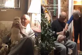 最长情的告白！狗狗和两位老人相互陪伴，相处画面温馨感十足视频封面