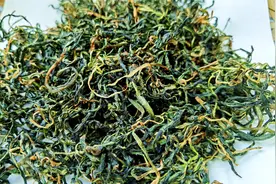 自制蒲公英茶，私藏多年的经验分享，清香不苦涩，泡水喝好处多多视频封面