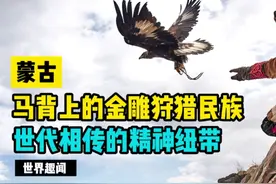 世界上少有的——马背上的金雕狩猎民族，世代相传的精神纽带视频封面
