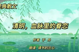 经典散文《清明，血脉里的眷恋》，作者于丹，和所有的亲人相逢视频封面