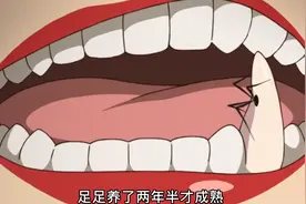 女人在嘴里种了颗龙牙，只为摆脱龙给她安排的命运！视频封面