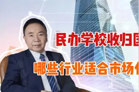 民办学校收归国有？如何避免教育过度市场化，特征尺度理论可解释视频封面