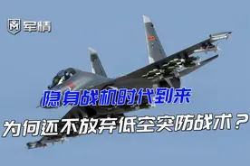 军情|歼16超低空飞行！高度比海景房还低，引来海滩游客一片欢呼视频封面