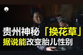 贵州神秘的“换花草”，村民称它能改变胎儿性别，这是真的吗？视频封面