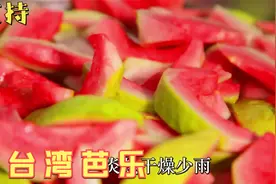 手把手教你制做果干，台湾工厂做芭乐干给你看，在家也能做视频封面