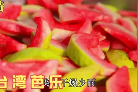 手把手教你制做果干，台湾工厂做芭乐干给你看，在家也能做视频封面