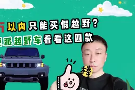 20万以下只能买到「假越野」？真正的硬派越野车来看看这几款视频封面