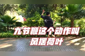 九节鞭动作（风摆荷叶）是这么做的