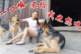 铲屎官吃螺蛳粉臭小德牧，没想到小德牧直咽口水，#激萌奖金计划视频封面