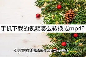 手机下载的视频怎么转换成mp4？学学这么转换视频封面
