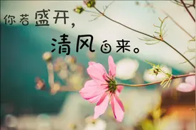 手机照片如何添加花样文字？原来方法这么简单！视频封面