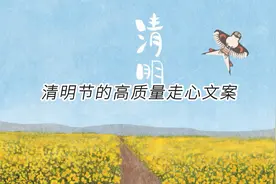 适合清明节发的高质量走心文案视频封面