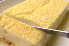 豆奶别再喝了，教你做丝滑的奶豆腐，入口即化让人欲罢不能