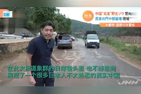 云南出走大象火遍日本 观众惊呼意外：这是中国的落后省？羡慕！视频封面