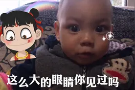 你见过最大的眼睛有多大，网友:我酸了
