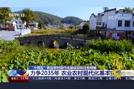 农业农村部：力争2035年，农业农村现代化基本实现