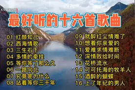 最好听的十六首热播歌曲《红颜知己》《三生石下》视频封面