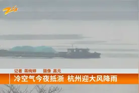 冷空气今夜抵浙  杭州迎大风降雨视频封面