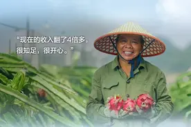 这项黑科技帮助全国最大火龙果生产基地产量和收入翻倍视频封面