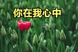 这首歌你听过吗？歌声柔情似水，歌词句句动人，听了一遍还想听！视频封面