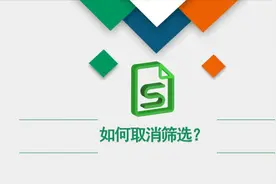 Excel/WPS表格数据筛选后如何显示全部数据？
