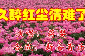 《久醉红尘情难了》，红尘酒醉都是为了你！视频封面