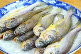 这才是小黄鱼最好吃的做法，外酥内鲜爽口下饭，还一点腥味也没有