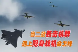 当歼20回到二战，遇上由60架零式护卫的轰炸机群会怎样，游戏模拟视频封面