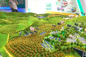 这里是柳州市柳南区太阳村镇，这里有2万亩自动化养鸡基地！视频封面