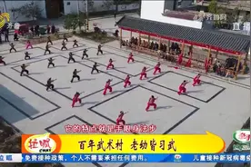巨野百年武术村里有个武林世家，四代传承，30多年培养弟子上万人视频封面