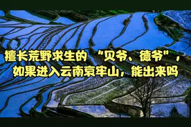 擅长荒野求生的 “贝爷、德爷”，如果进入云南哀牢山，能出来吗视频封面