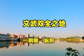 第156集|铜陵枞阳，铜陵合并枞阳，是吸血还是小马拉大车？视频封面