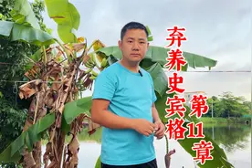 一条扑鸡咬鸡的狗，经过训犬师训练终于不再咬鸡了，视频全程记录视频封面