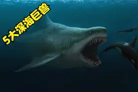 史上最强的5大深海巨兽，第三位生吞霸王龙，第二位很可能就是鲲视频封面