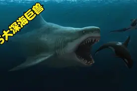 史上最强的5大深海巨兽，第三位生吞霸王龙，第二位很可能就是鲲视频封面