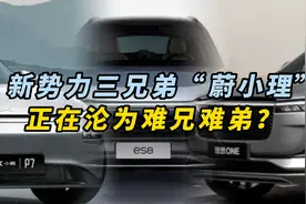 新势力三兄弟“蔚小理”，正在沦为难兄难弟？视频封面
