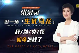 从央视辞职的张泉灵，花147万投资一个80后混子画家，最后狂赚3亿视频封面