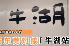 实拍深圳地铁四号延长线牛湖站，南北纵贯大动脉，预期会接东莞视频封面
