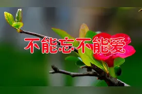 新歌！《不能忘不能爱》我忘也不能忘我爱也不能爱这感觉谁能明白